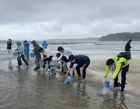稚魚の放流