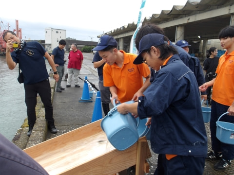 稚魚の放流の様子