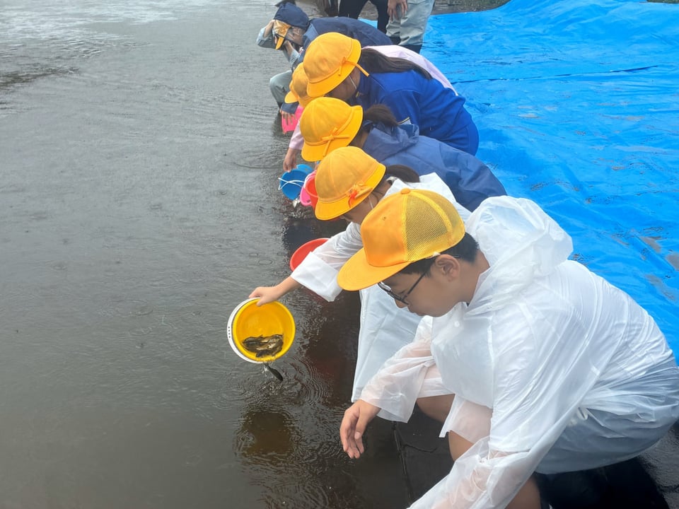 放流の様子