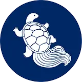 亀