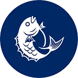 鯛