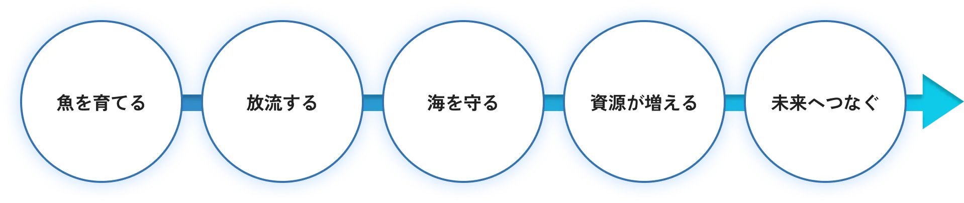 海を育てる、放流する、海を守る、資源が増えるという循環で未来へつなぐイメージ図（PC向け）