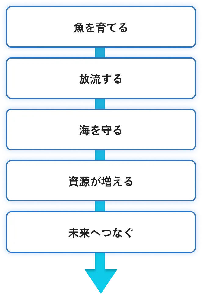 海を育てる、放流する、海を守る、資源が増えるという循環で未来へつなぐイメージ図（SP向け）