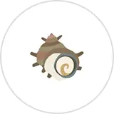 サザエのイラスト