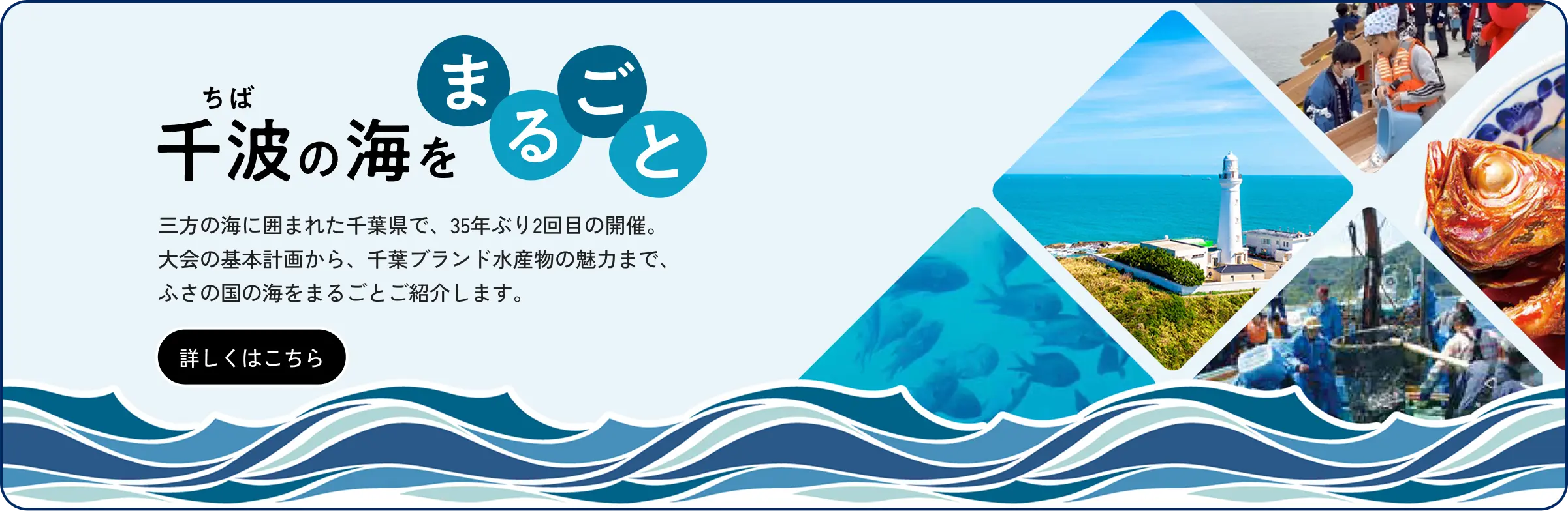 「千波の海をまるごとページへ」詳しくはこちら