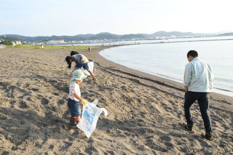 海岸清掃の様子の画像