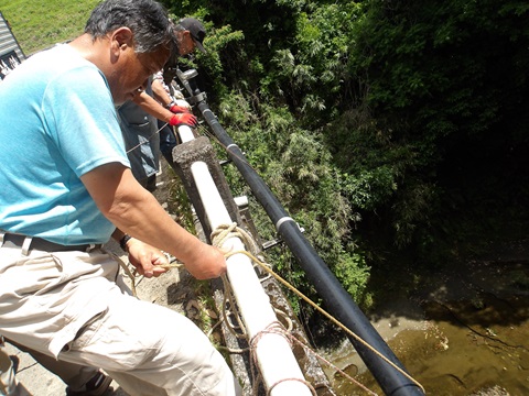 湊川漁協 稚魚放流