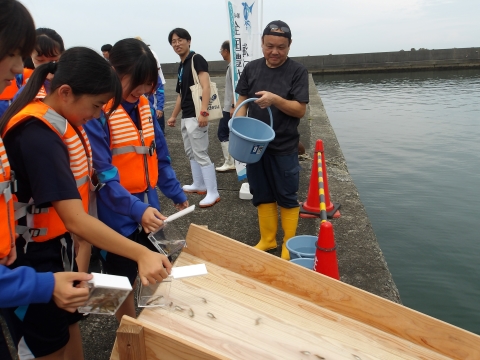 放流の様子
